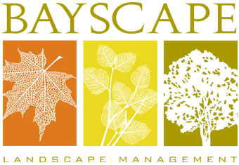 bayscape-logo-summary-pages