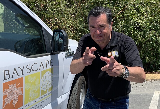 I have been working with Bayscape Landscape for 6 years. I started at entry level and am now a manager of my division. Bayscape recognized my talents and has rewarded me for my dedication and hard work. I am looking forward to my future with Bayscape in the years to come.”  - Tony Marcias