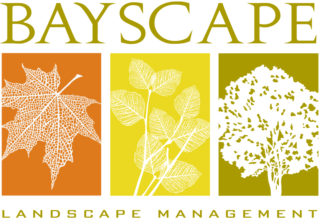 Bayscape Landscape Logo Gold