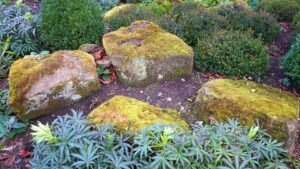 Sustainable landscaping exemplified by decorative rocks and well-chosen shrubery