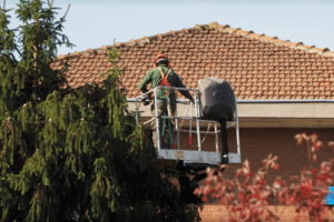 A man on a construction lift pruning a tree.