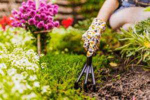 Unlock the secrets to a lush Bay Area garden this summer! Learn the best spring gardening tips, from selecting water-wise plants to effective watering strategies.