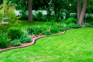 Lush green lawn with vibrant flower beds and a bird feeder, showcasing effective techniques for preparing your lawn for fall in a suburban garden.