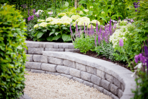 Renovating Your Landscape: Mid-Summer Makeovers featuring a stone pathway and curved garden wall surrounded by lush, vibrant hydrangeas and purple salvia in a beautifully maintained garden.