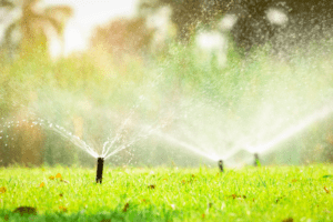 Harnessing Bay Area Rainfall: Smart Irrigation and Drainage Solutions