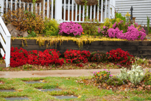 Winter Planting for Year-Round Bay Area Beauty