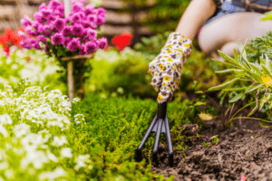 Spring into Action: Preparing Your Landscape for a Flourishing Growing Season