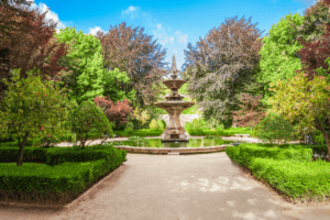 A beautifully maintained garden with a water fountain, lush greenery, and drought-resistant plants, demonstrating effective water conservation methods for keeping your garden green during dry seasons.