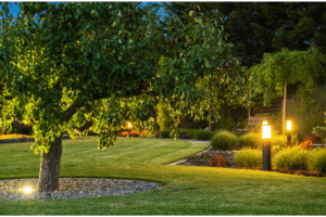 Smart landscape lighting illuminating a garden tree and pathway at dusk.