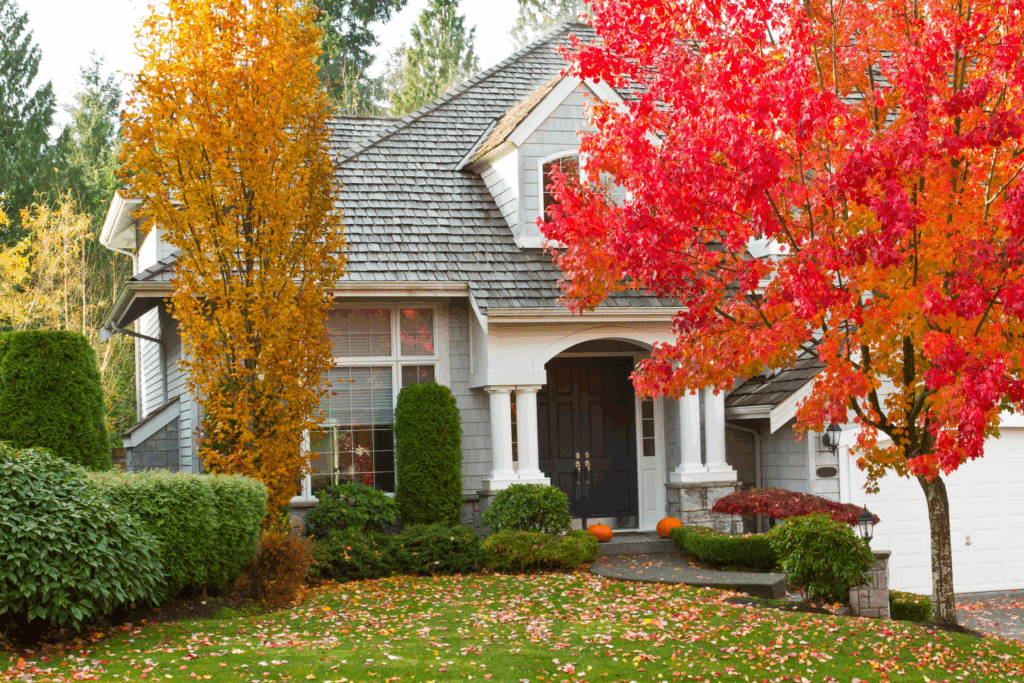 Front yard of a suburban home with vibrant fall foliage, neatly trimmed shrubs, and pumpkins on the porch, illustrating a fall landscaping checklist.