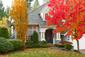 Front yard of a suburban home with vibrant fall foliage, neatly trimmed shrubs, and pumpkins on the porch, illustrating a fall landscaping checklist.