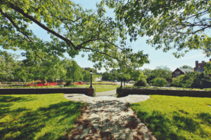 Mature tree canopy shading brick walkway demonstrating proper tree placement to prevent tree root damage to hardscapes
