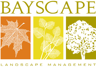 bayscape-logo-summary-pages