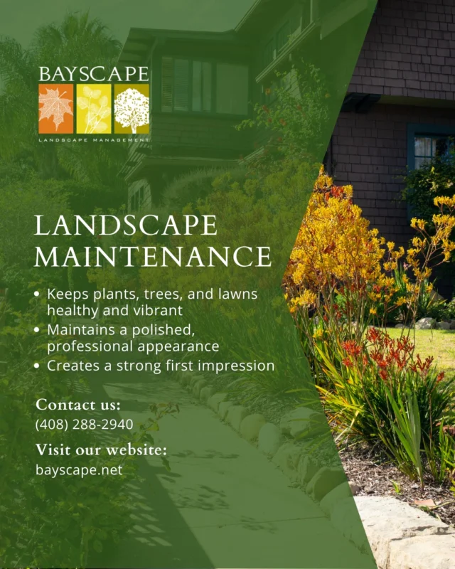 Overgrown trees, dead lawns, and clogged irrigation lines can lead to safety hazards, fines, and declining property value. 

At Bayscape, we help property managers and owners avoid costly issues through proactive maintenance that keeps your landscape compliant, healthy, and ready to impress—season after season.

Let’s keep your property thriving. Contact us today for a complimentary consultation: bayscape.net/contact-us 

#BayscapeLandscapeManagement #Bayscape #Landscape #Management #LandscapeMaintenance #BayAreaLandscaping #CommercialLandscaping #HOALandscaping #RiskPrevention